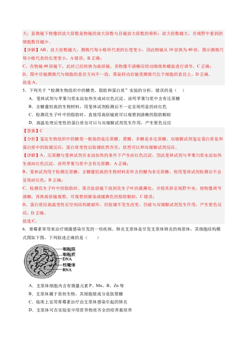 单元检测卷01细胞的概述及其分子组成（解析版）_新高考复习资料_2025年新高考资料_2025年高考生物一轮复习考点通关卷（新高考通用）