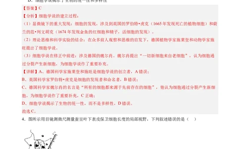 单元检测卷01细胞的概述及其分子组成（解析版）_新高考复习资料_2025年新高考资料_2025年高考生物一轮复习考点通关卷（新高考通用）
