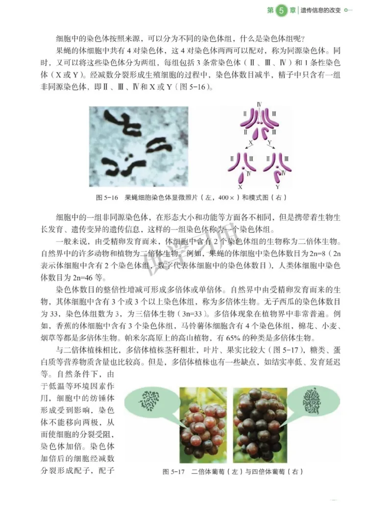 新北师大版高中生物必修2《遗传与进化》_高中电子课本_最新版高中全科高清电子课本_6高中生物课本_2019新人教版
