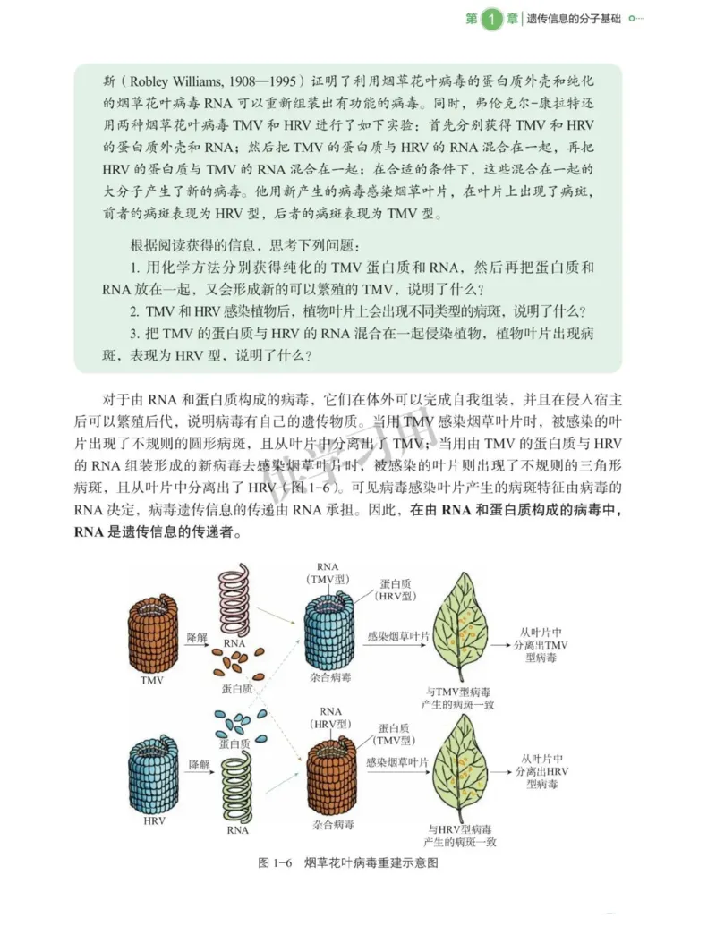 新北师大版高中生物必修2《遗传与进化》_高中电子课本_最新版高中全科高清电子课本_6高中生物课本_2019新人教版