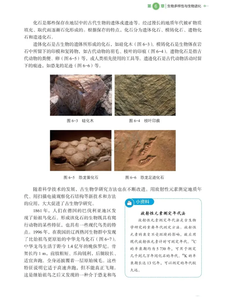 新北师大版高中生物必修2《遗传与进化》_高中电子课本_最新版高中全科高清电子课本_6高中生物课本_2019新人教版