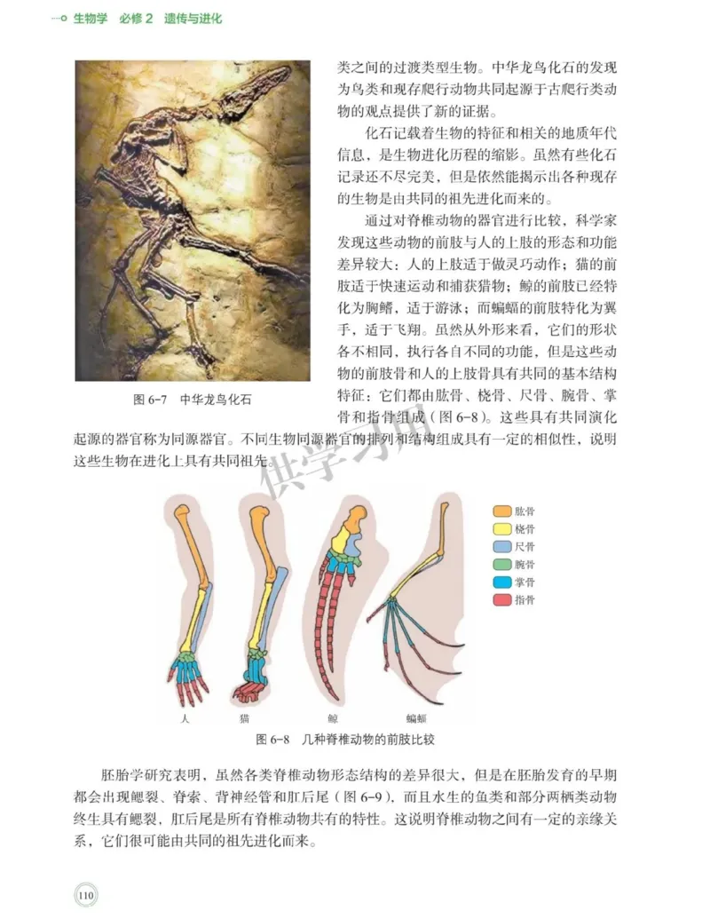 新北师大版高中生物必修2《遗传与进化》_高中电子课本_最新版高中全科高清电子课本_6高中生物课本_2019新人教版