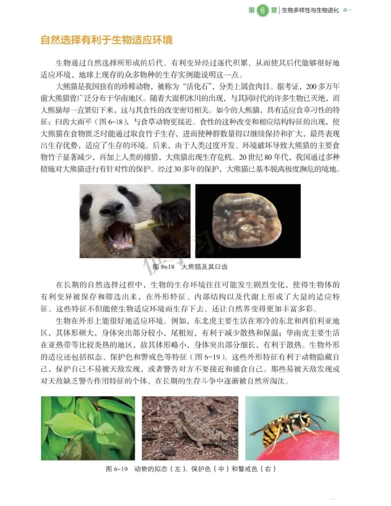 新北师大版高中生物必修2《遗传与进化》_高中电子课本_最新版高中全科高清电子课本_6高中生物课本_2019新人教版