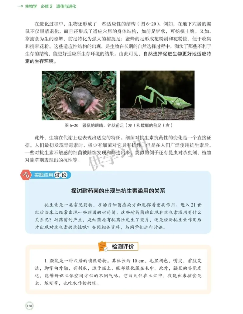 新北师大版高中生物必修2《遗传与进化》_高中电子课本_最新版高中全科高清电子课本_6高中生物课本_2019新人教版