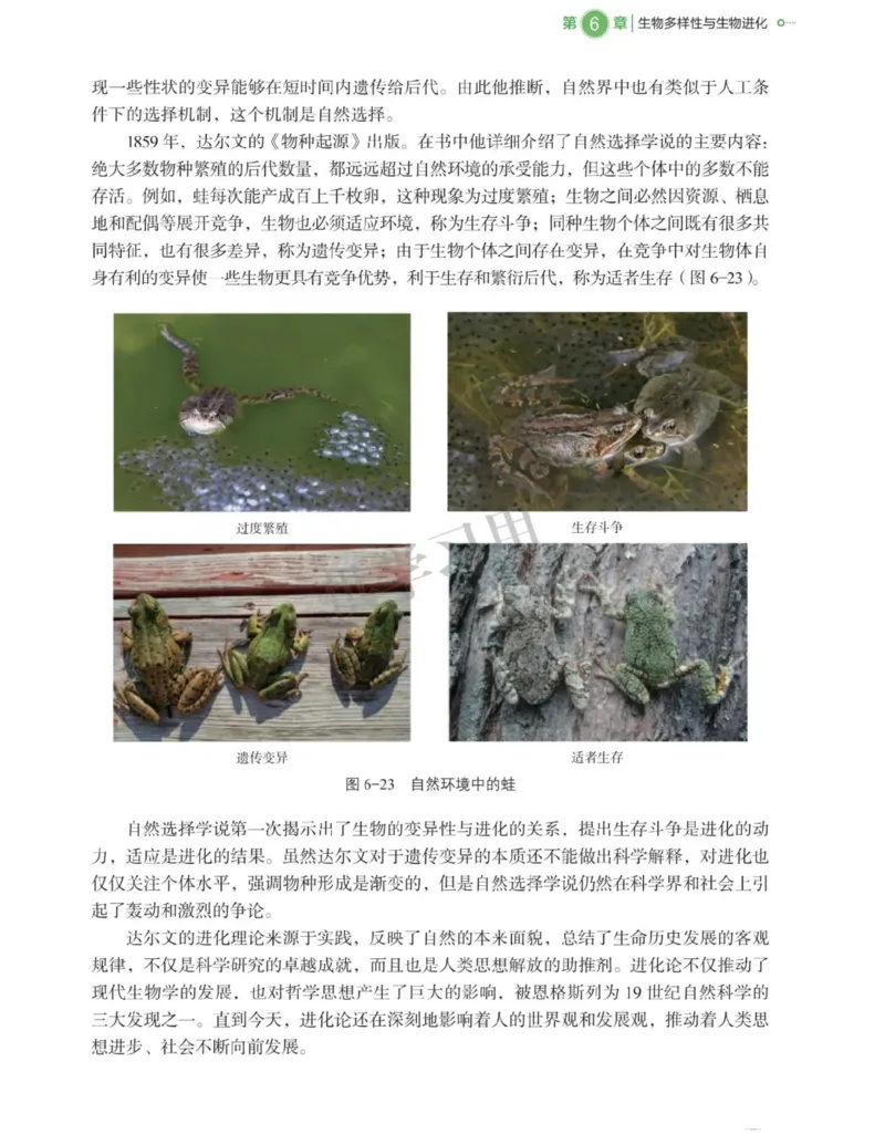 新北师大版高中生物必修2《遗传与进化》_高中电子课本_最新版高中全科高清电子课本_6高中生物课本_2019新人教版