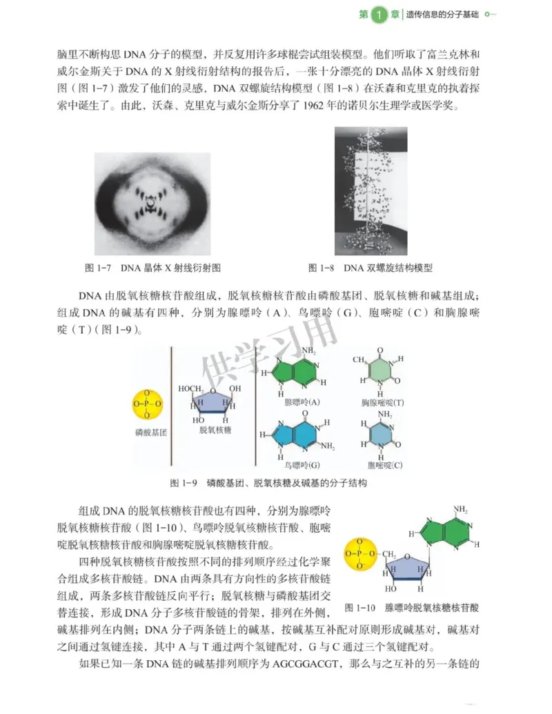 新北师大版高中生物必修2《遗传与进化》_高中电子课本_最新版高中全科高清电子课本_6高中生物课本_2019新人教版