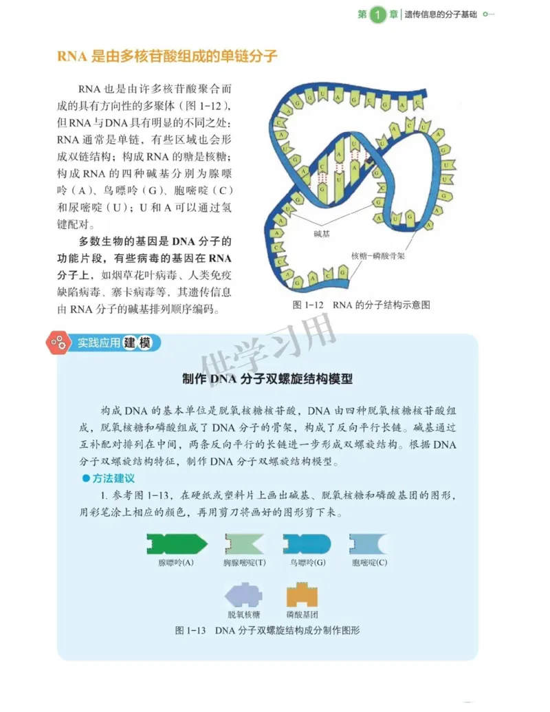 新北师大版高中生物必修2《遗传与进化》_高中电子课本_最新版高中全科高清电子课本_6高中生物课本_2019新人教版
