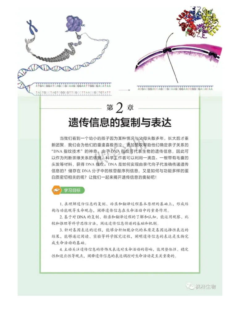 新北师大版高中生物必修2《遗传与进化》_高中电子课本_最新版高中全科高清电子课本_6高中生物课本_2019新人教版
