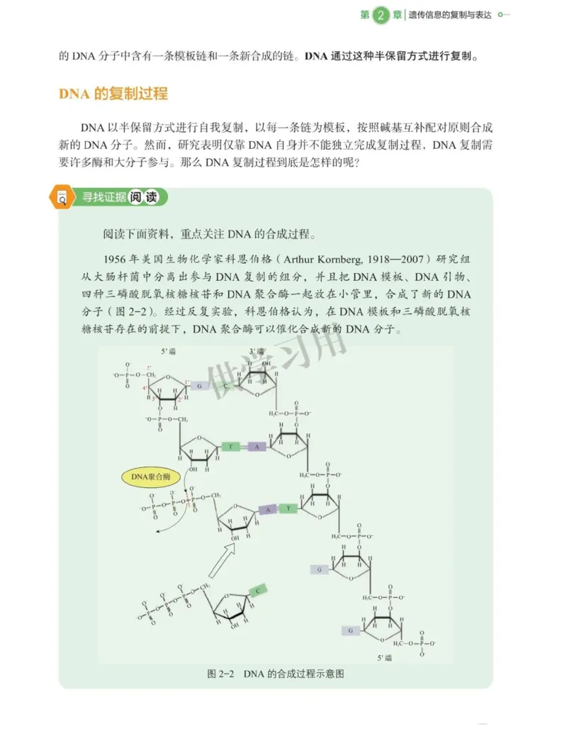 新北师大版高中生物必修2《遗传与进化》_高中电子课本_最新版高中全科高清电子课本_6高中生物课本_2019新人教版