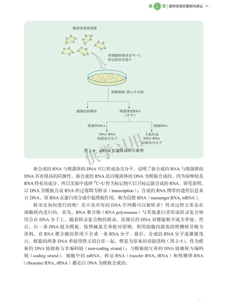 新北师大版高中生物必修2《遗传与进化》_高中电子课本_最新版高中全科高清电子课本_6高中生物课本_2019新人教版