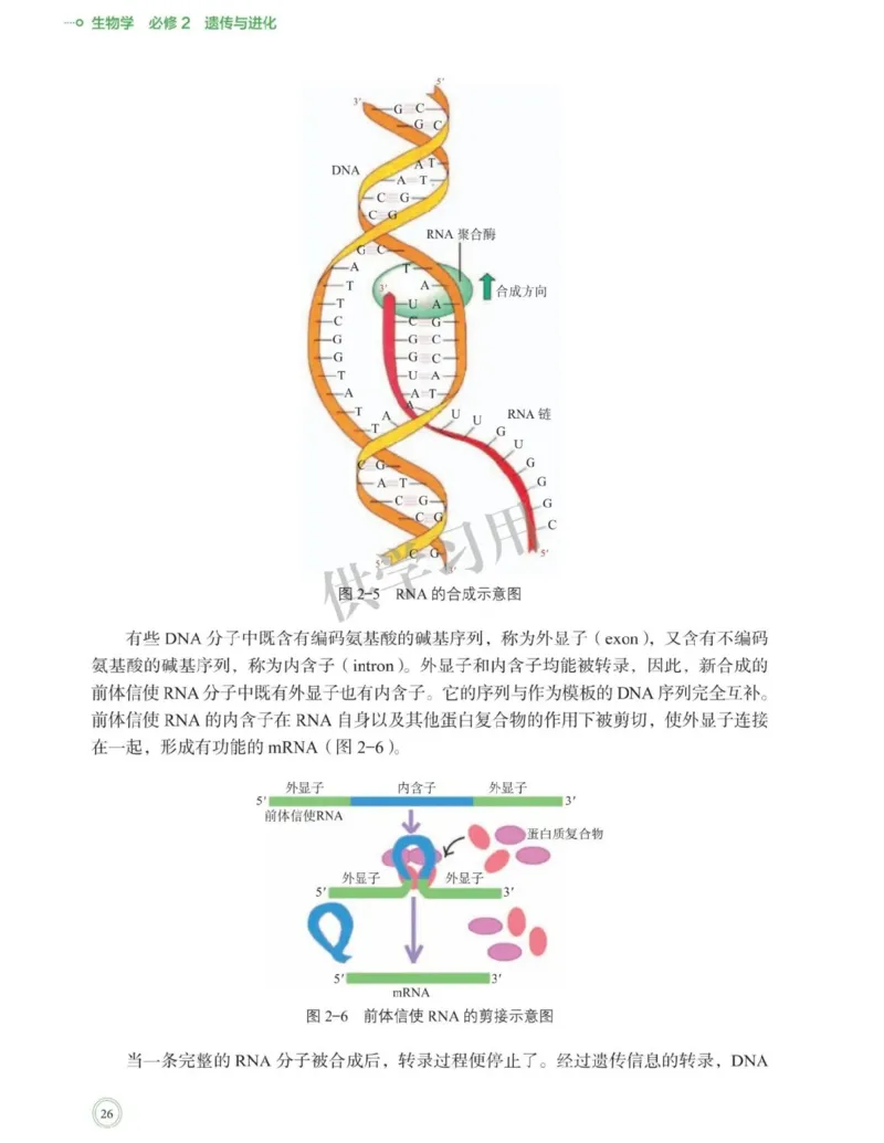 新北师大版高中生物必修2《遗传与进化》_高中电子课本_最新版高中全科高清电子课本_6高中生物课本_2019新人教版