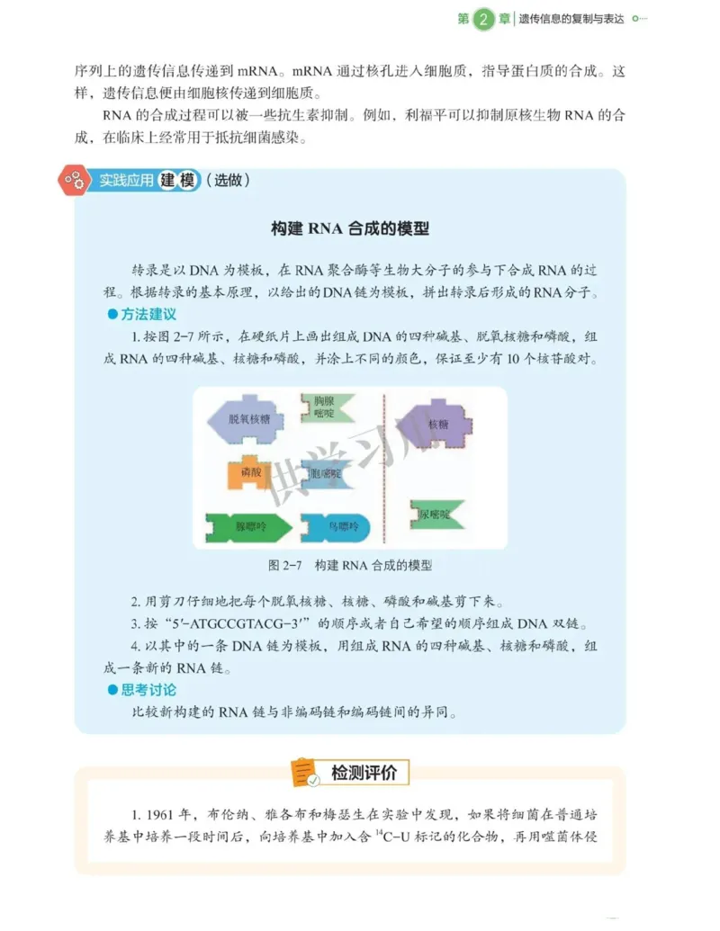 新北师大版高中生物必修2《遗传与进化》_高中电子课本_最新版高中全科高清电子课本_6高中生物课本_2019新人教版