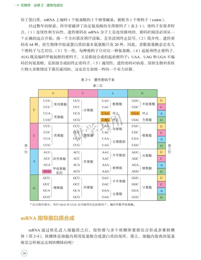 新北师大版高中生物必修2《遗传与进化》_高中电子课本_最新版高中全科高清电子课本_6高中生物课本_2019新人教版