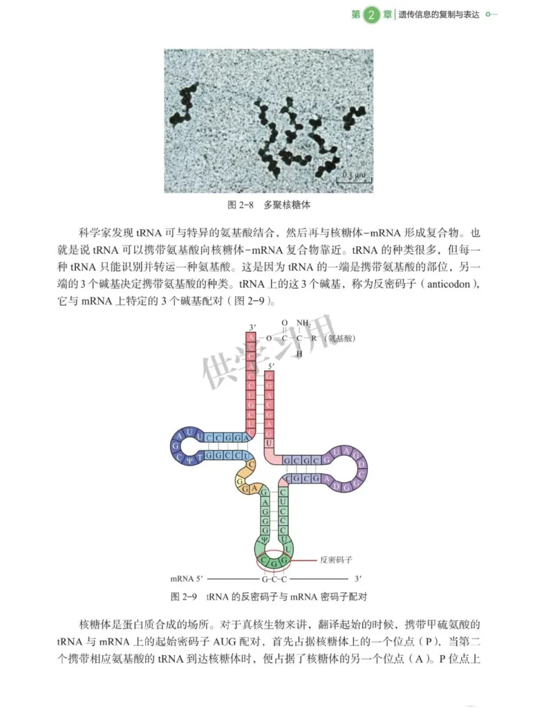 新北师大版高中生物必修2《遗传与进化》_高中电子课本_最新版高中全科高清电子课本_6高中生物课本_2019新人教版