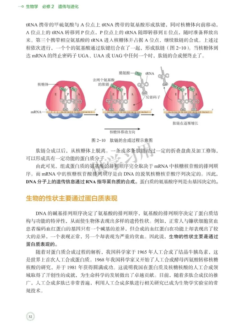新北师大版高中生物必修2《遗传与进化》_高中电子课本_最新版高中全科高清电子课本_6高中生物课本_2019新人教版