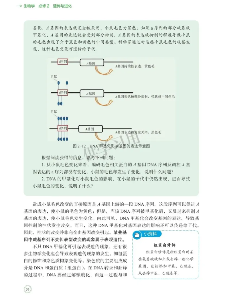 新北师大版高中生物必修2《遗传与进化》_高中电子课本_最新版高中全科高清电子课本_6高中生物课本_2019新人教版
