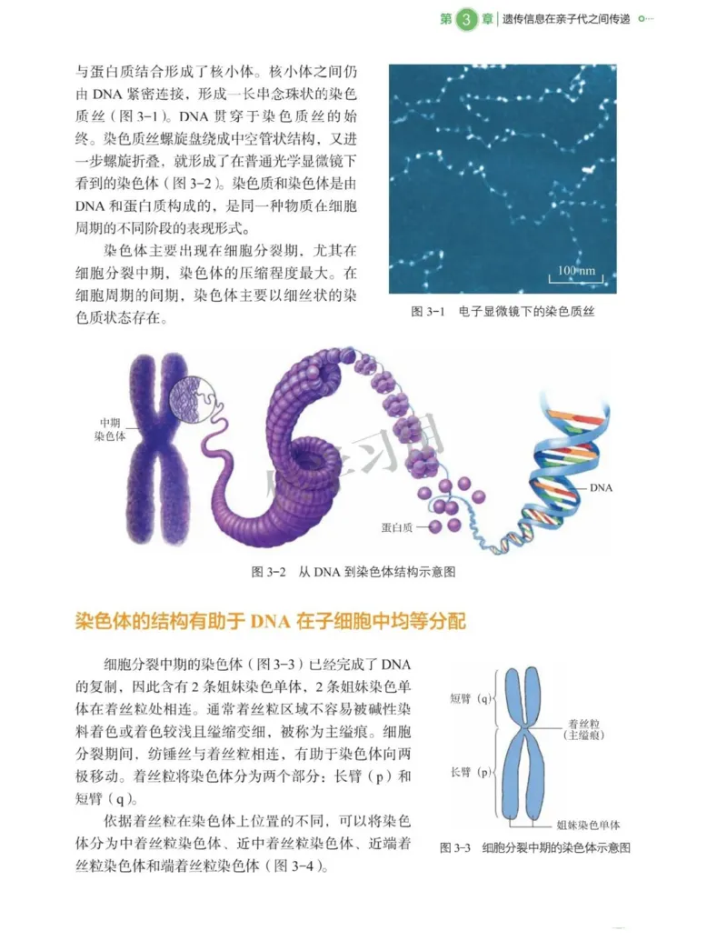 新北师大版高中生物必修2《遗传与进化》_高中电子课本_最新版高中全科高清电子课本_6高中生物课本_2019新人教版
