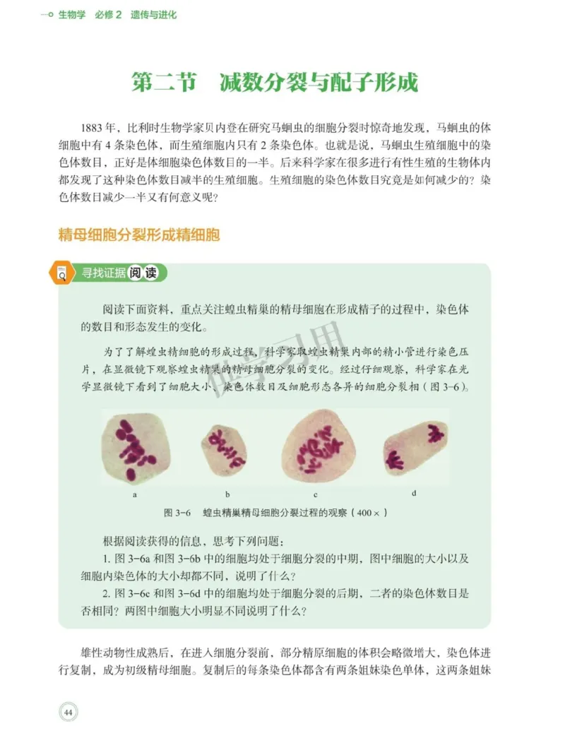 新北师大版高中生物必修2《遗传与进化》_高中电子课本_最新版高中全科高清电子课本_6高中生物课本_2019新人教版