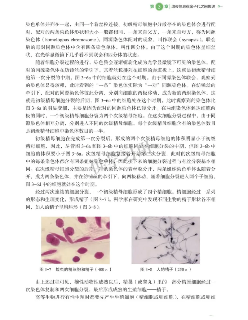 新北师大版高中生物必修2《遗传与进化》_高中电子课本_最新版高中全科高清电子课本_6高中生物课本_2019新人教版