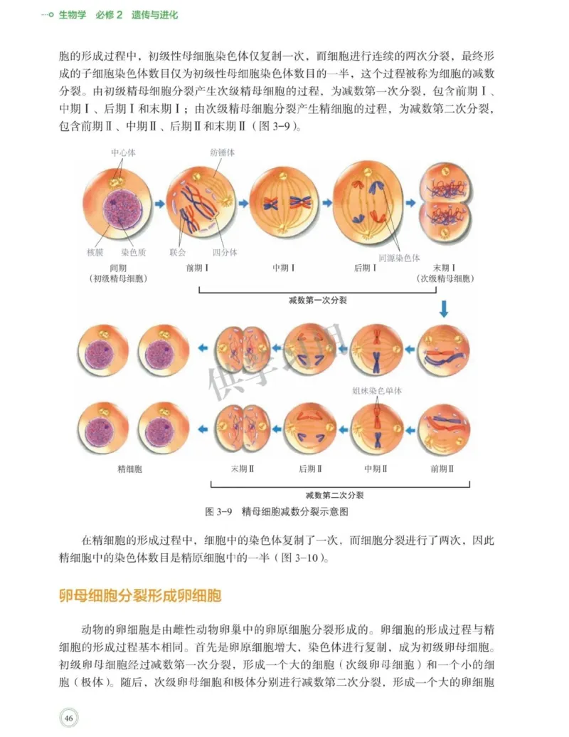 新北师大版高中生物必修2《遗传与进化》_高中电子课本_最新版高中全科高清电子课本_6高中生物课本_2019新人教版