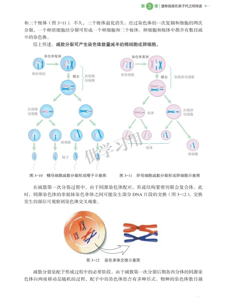 新北师大版高中生物必修2《遗传与进化》_高中电子课本_最新版高中全科高清电子课本_6高中生物课本_2019新人教版