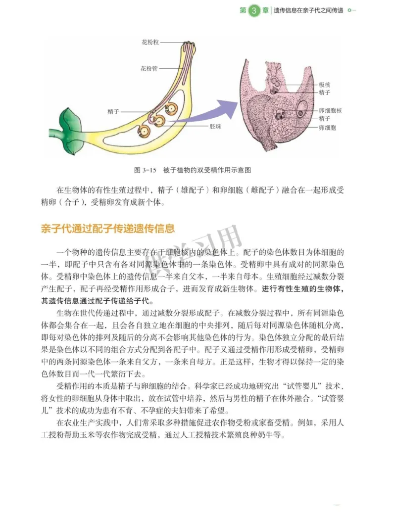 新北师大版高中生物必修2《遗传与进化》_高中电子课本_最新版高中全科高清电子课本_6高中生物课本_2019新人教版