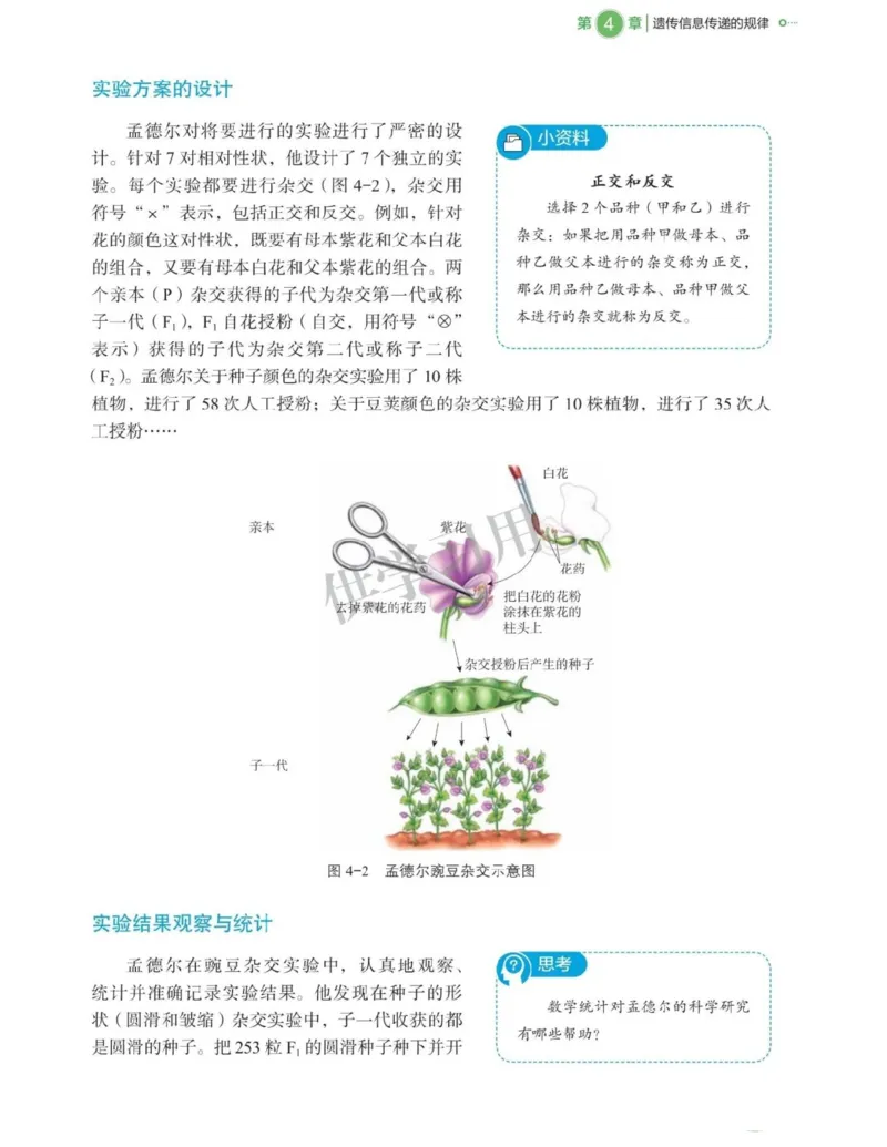 新北师大版高中生物必修2《遗传与进化》_高中电子课本_最新版高中全科高清电子课本_6高中生物课本_2019新人教版