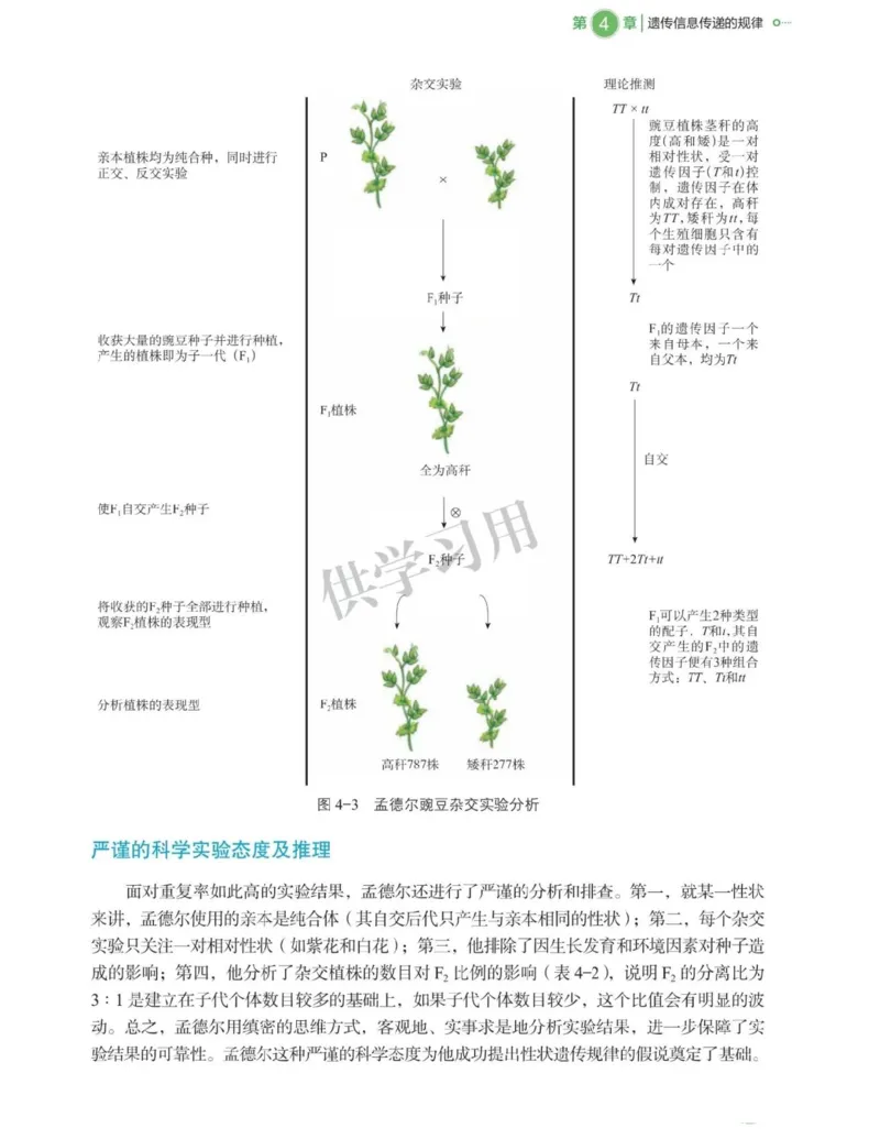 新北师大版高中生物必修2《遗传与进化》_高中电子课本_最新版高中全科高清电子课本_6高中生物课本_2019新人教版