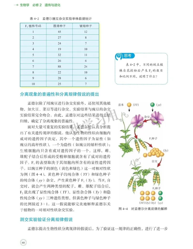 新北师大版高中生物必修2《遗传与进化》_高中电子课本_最新版高中全科高清电子课本_6高中生物课本_2019新人教版