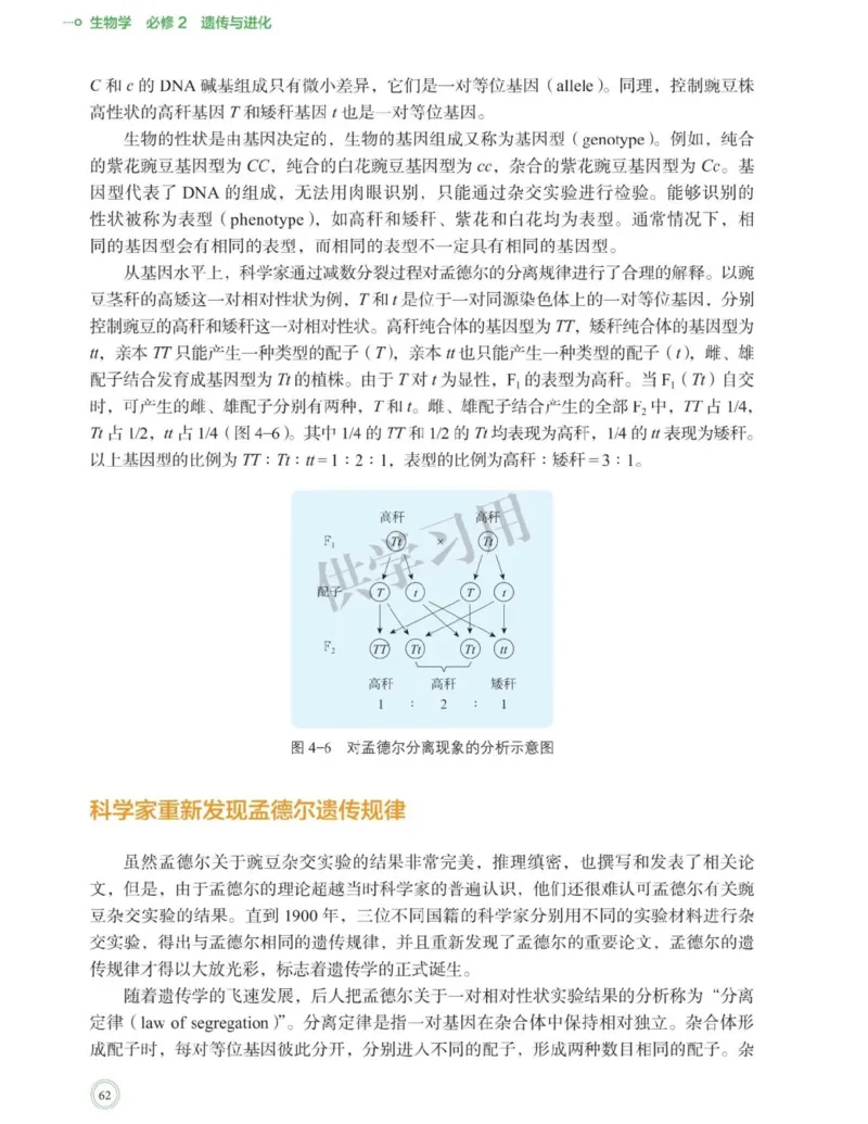 新北师大版高中生物必修2《遗传与进化》_高中电子课本_最新版高中全科高清电子课本_6高中生物课本_2019新人教版
