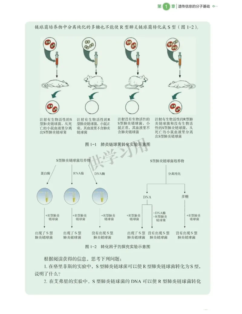 新北师大版高中生物必修2《遗传与进化》_高中电子课本_最新版高中全科高清电子课本_6高中生物课本_2019新人教版