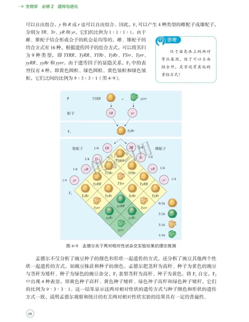 新北师大版高中生物必修2《遗传与进化》_高中电子课本_最新版高中全科高清电子课本_6高中生物课本_2019新人教版