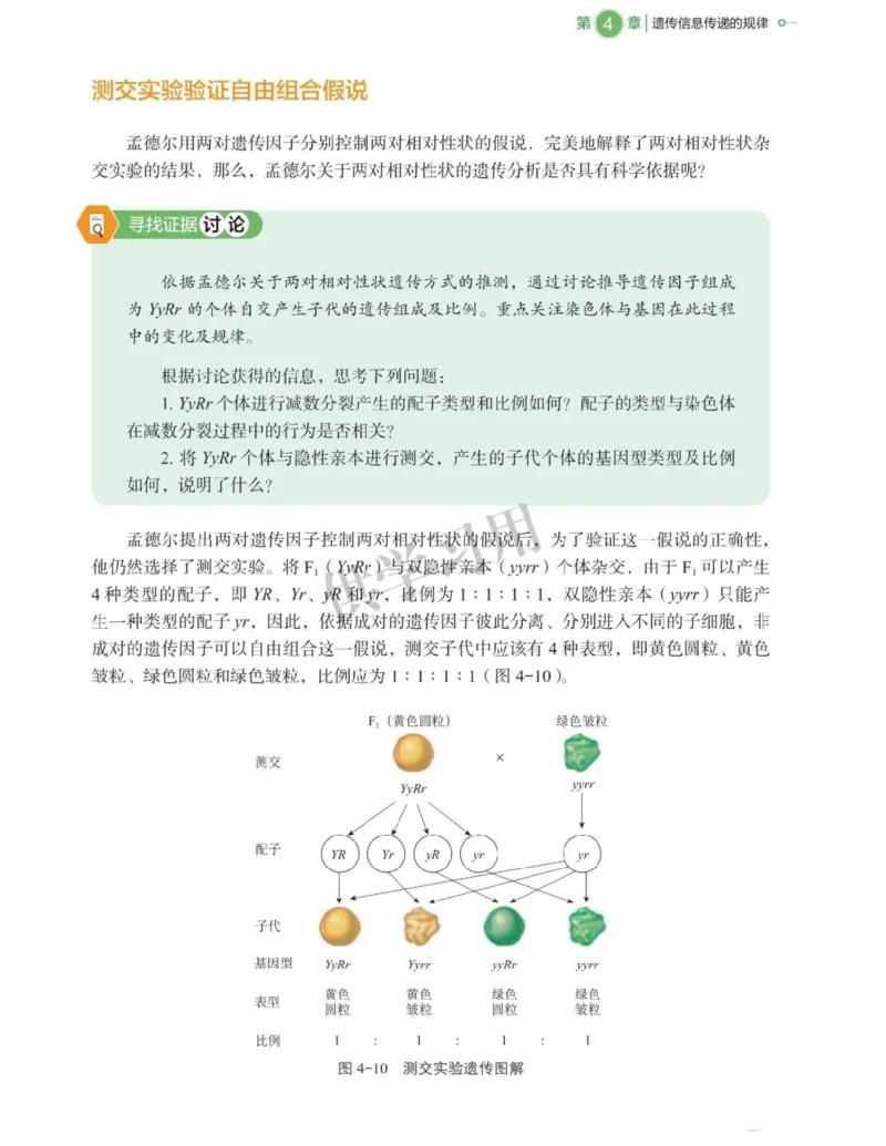新北师大版高中生物必修2《遗传与进化》_高中电子课本_最新版高中全科高清电子课本_6高中生物课本_2019新人教版