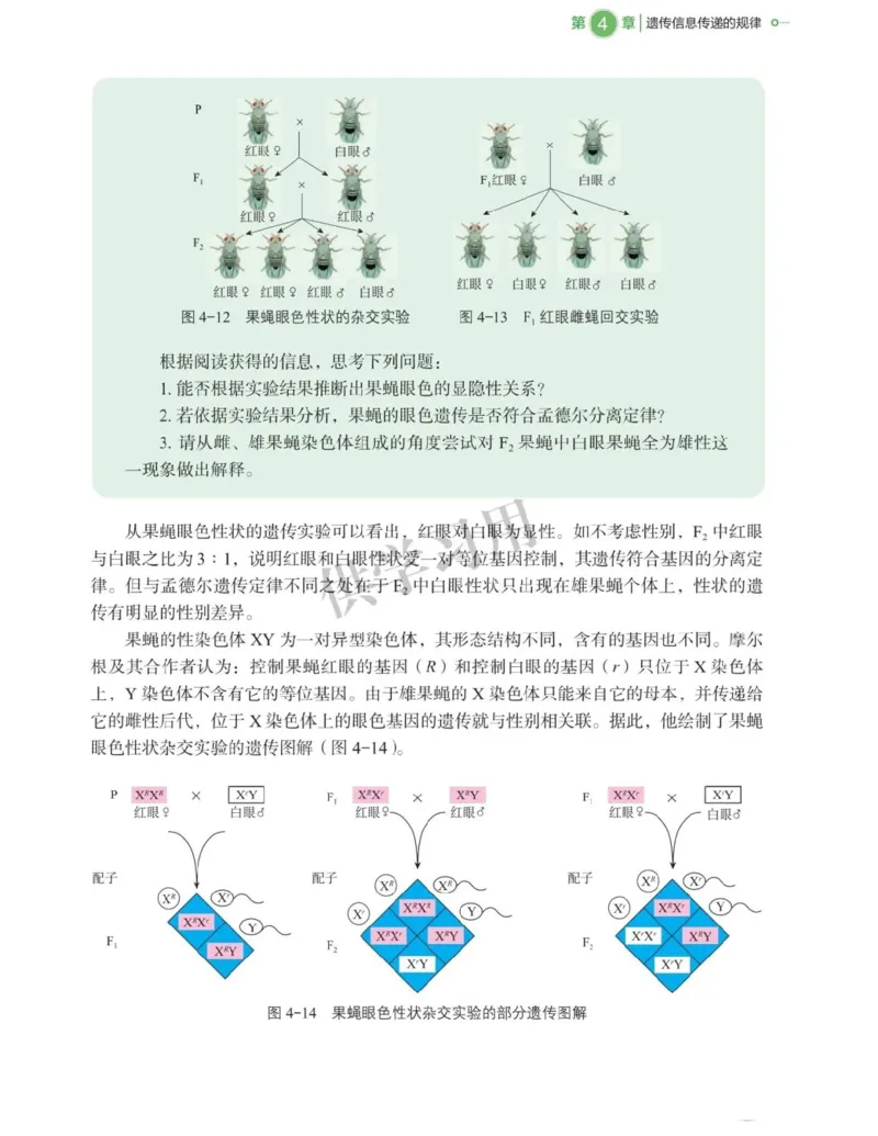 新北师大版高中生物必修2《遗传与进化》_高中电子课本_最新版高中全科高清电子课本_6高中生物课本_2019新人教版