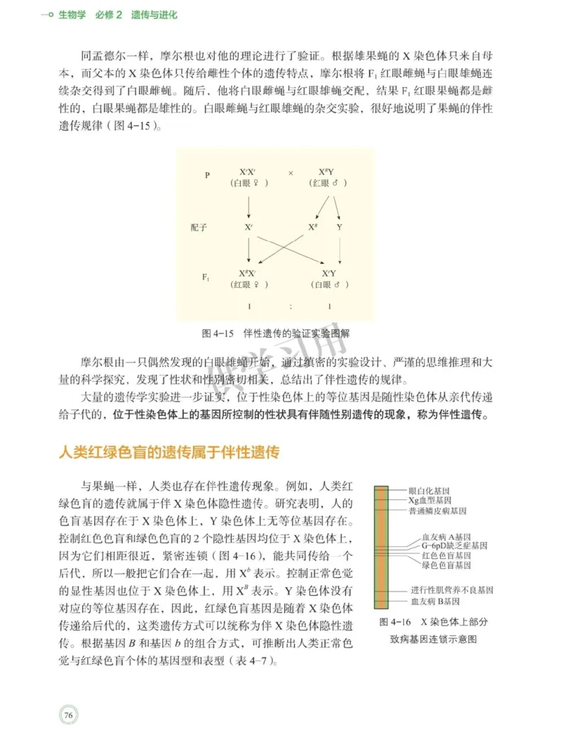 新北师大版高中生物必修2《遗传与进化》_高中电子课本_最新版高中全科高清电子课本_6高中生物课本_2019新人教版