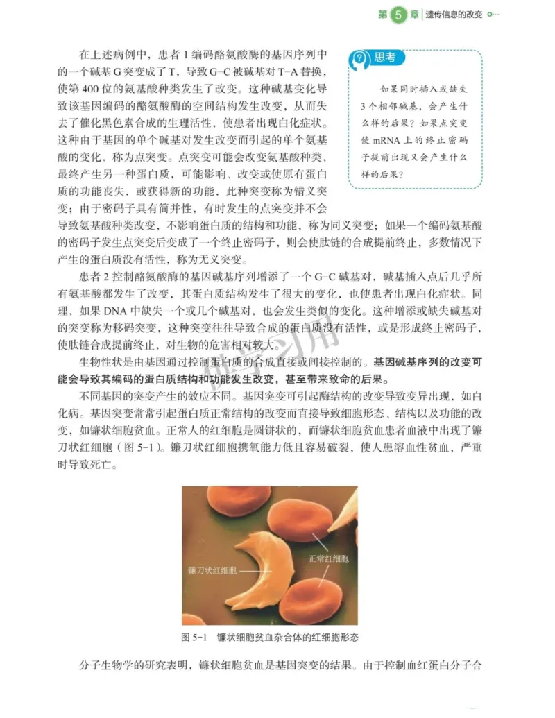 新北师大版高中生物必修2《遗传与进化》_高中电子课本_最新版高中全科高清电子课本_6高中生物课本_2019新人教版