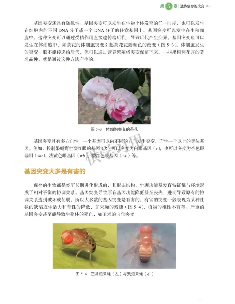 新北师大版高中生物必修2《遗传与进化》_高中电子课本_最新版高中全科高清电子课本_6高中生物课本_2019新人教版