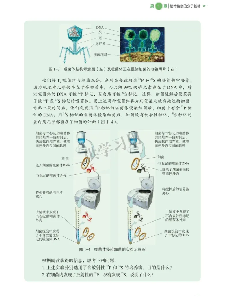 新北师大版高中生物必修2《遗传与进化》_高中电子课本_最新版高中全科高清电子课本_6高中生物课本_2019新人教版