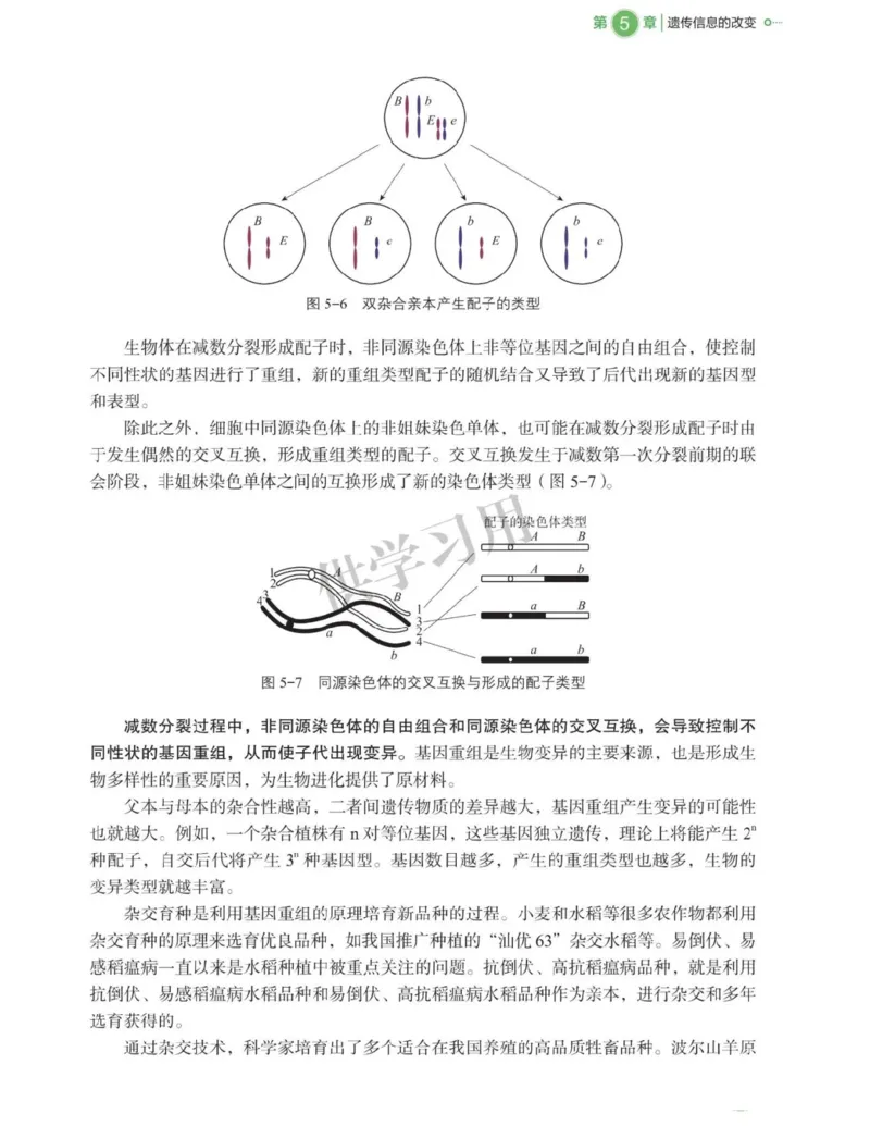 新北师大版高中生物必修2《遗传与进化》_高中电子课本_最新版高中全科高清电子课本_6高中生物课本_2019新人教版