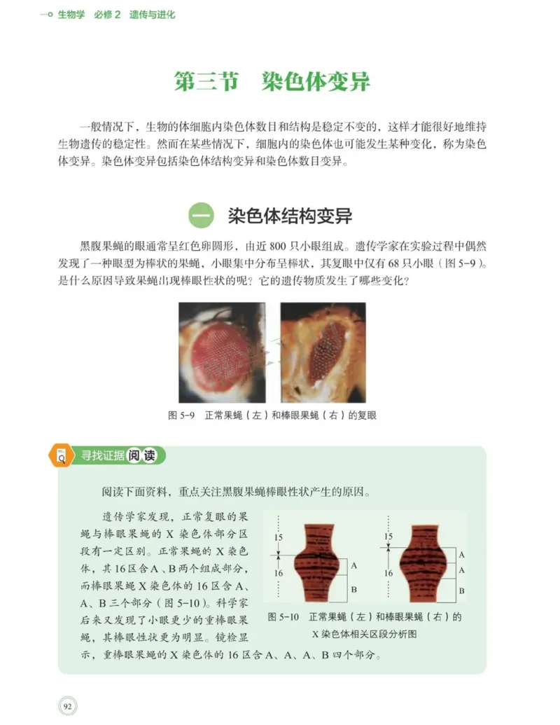 新北师大版高中生物必修2《遗传与进化》_高中电子课本_最新版高中全科高清电子课本_6高中生物课本_2019新人教版