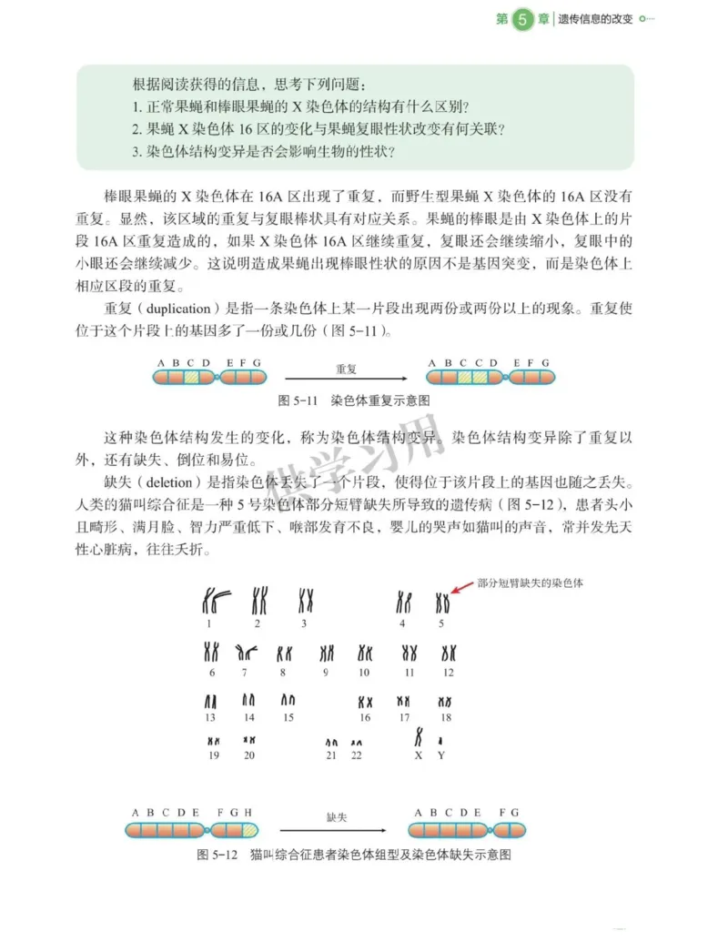 新北师大版高中生物必修2《遗传与进化》_高中电子课本_最新版高中全科高清电子课本_6高中生物课本_2019新人教版