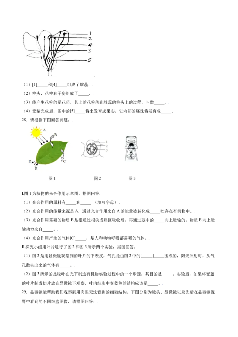 期末冲刺卷（二）-（人教版）（原卷版）_初中全科电子版试卷练习试题_生物_生物人教版7上练习&mdash;24新版已更新_人教生物7年级上期末试卷11份
