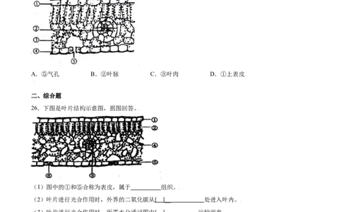 期末冲刺卷（二）-（人教版）（原卷版）_初中全科电子版试卷练习试题_生物_生物人教版7上练习&mdash;24新版已更新_人教生物7年级上期末试卷11份