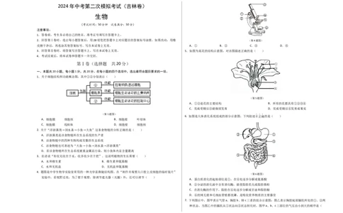 生物（吉林卷）（考试版A3）_初中全科电子版试卷练习试题_生物_2024中考模拟题生物(1)_二模_生物（吉林卷）-：2024年中考第二次模拟考试
