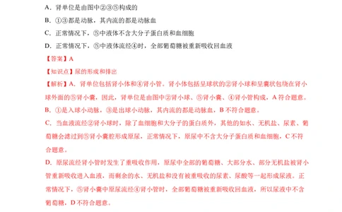 生物（河北卷）（全解全析）_初中全科电子版试卷练习试题_生物_2024中考模拟题生物(1)_一模_生物（河北卷）-2024年中考第一次模拟考试