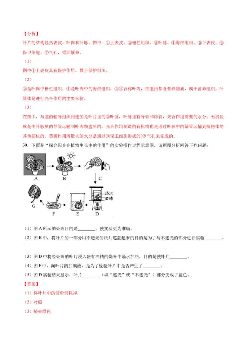 期末冲刺卷（一）-（人教版）（解析版）_初中全科电子版试卷练习试题_生物_生物人教版7上练习&mdash;24新版已更新_人教生物7年级上期末试卷11份