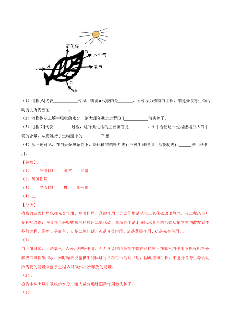 期末冲刺卷（一）-（人教版）（解析版）_初中全科电子版试卷练习试题_生物_生物人教版7上练习&mdash;24新版已更新_人教生物7年级上期末试卷11份
