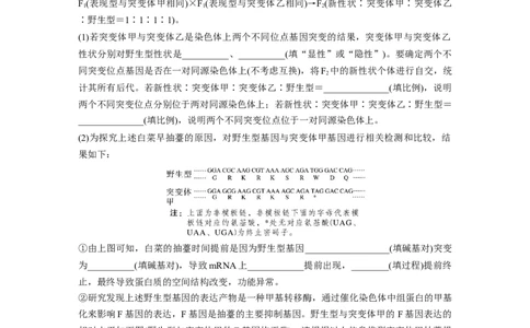 二轮专题强化练　重难大题集训(三)　变异与遗传的综合考查_通用版（老高考）复习资料_2023年复习资料_二轮复习_2023年高考生物二轮复习讲义+课件（全国版）_学生版_二轮专题强化练