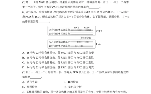 二轮专题强化练　重难大题集训(三)　变异与遗传的综合考查_通用版（老高考）复习资料_2023年复习资料_二轮复习_2023年高考生物二轮复习讲义+课件（全国版）_学生版_二轮专题强化练