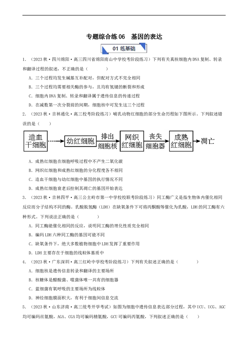 专题综合练06基因的表达(原卷版)_新高考复习资料_2024年新高考复习资料_一轮复习资料_完备战2024年高考生物一轮复习考点帮（新高考）_必修2